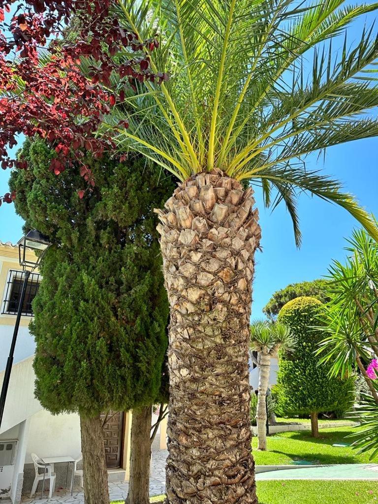 Casa De Emilia Vera Coast Playas de Vera Dış mekan fotoğraf