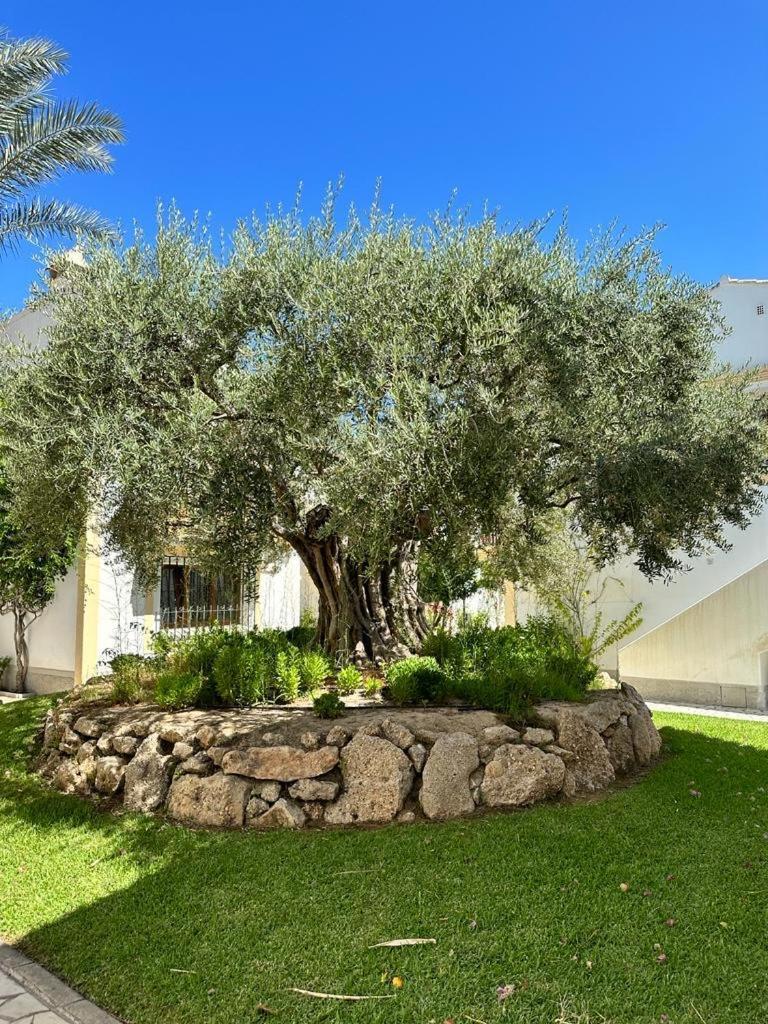 Casa De Emilia Vera Coast Playas de Vera Dış mekan fotoğraf